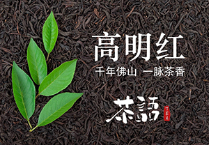 联手佛山国资打造高明红茶产业振兴